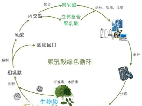 可降解物料有哪些類別及用途？